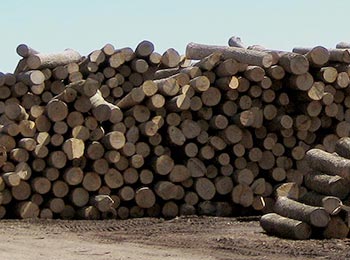 See more about Log Exporting log exporting