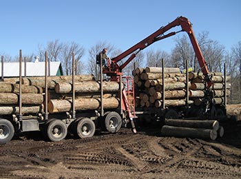 See more about Timber & Log Purchasing log purchasing